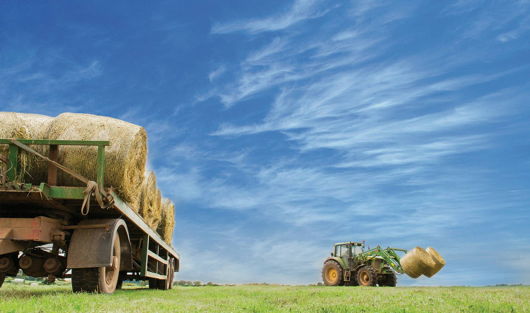 Carrot Land Required background image