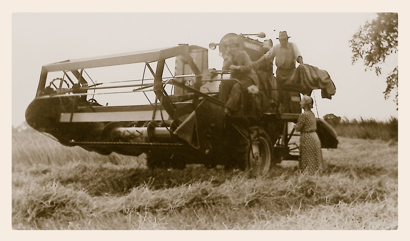 Massey Harris Combined Harvester - c.1951